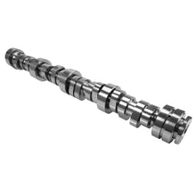 Load image into Gallery viewer, COMP Cams 7.3L Godzilla Stage 1 NSR/NTR Hydraulic Roller Camshaft