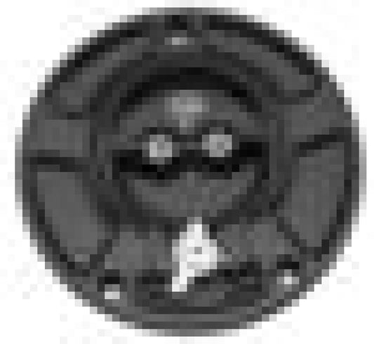 Vortex Racing V3 Fuel Cap for Kawasaki Black - GC430K