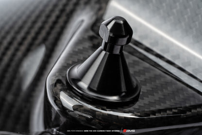 AMS Performance AMS.39.08.0001-1 15-18 BMW M3 / 15-20 BMW M4 w/ S55 3.0L Turbo Engine Carbon Fiber Intake