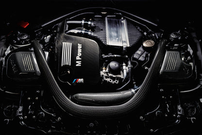 AMS Performance AMS.39.08.0001-1 15-18 BMW M3 / 15-20 BMW M4 w/ S55 3.0L Turbo Engine Carbon Fiber Intake