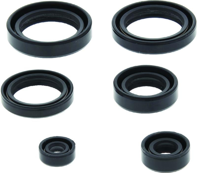 QuadBoss Qb Oil Seal Set - 564398