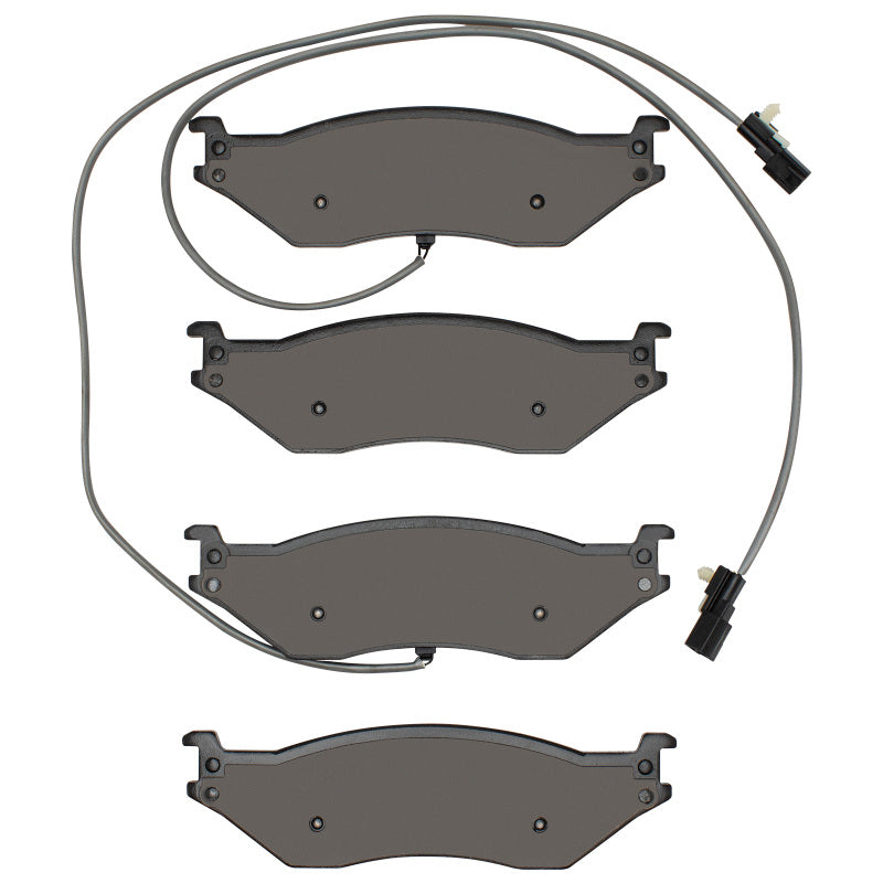R1 18-20 Winnebago Sunstar Rear Optimum OE Brake Pads