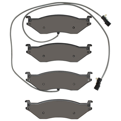 R1 18-20 Winnebago Sunstar Rear Optimum OE Brake Pads