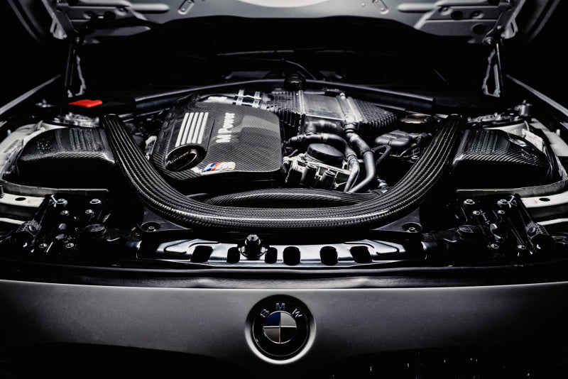 AMS Performance AMS.39.08.0001-1 15-18 BMW M3 / 15-20 BMW M4 w/ S55 3.0L Turbo Engine Carbon Fiber Intake