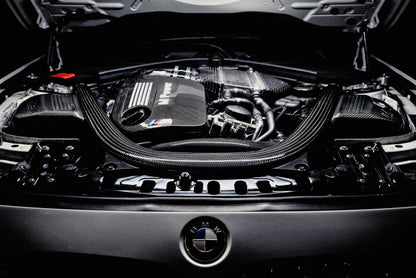 AMS Performance AMS.39.08.0001-1 15-18 BMW M3 / 15-20 BMW M4 w/ S55 3.0L Turbo Engine Carbon Fiber Intake