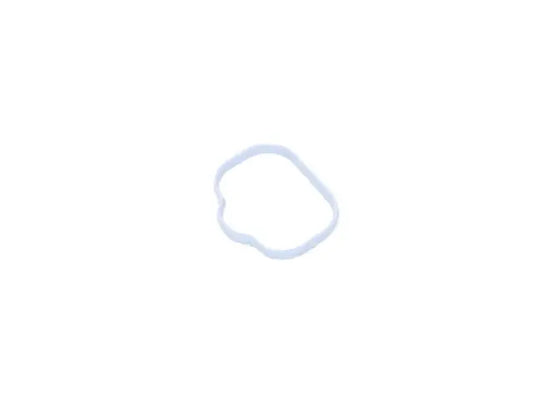 OEM Mopar Engine Intake Manifold Gasket (5184331AC) X1