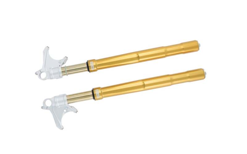 Photo - Close Up