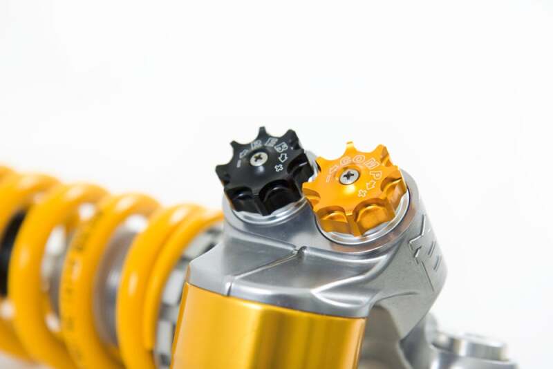 Photo - Close Up
