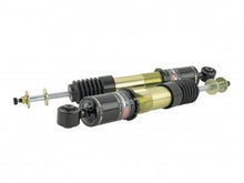 Load image into Gallery viewer, Skunk2 Pro ST Coilovers for 2006-2011 Honda Civic - 541-05-8750