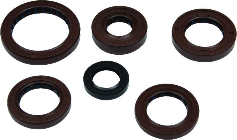 QuadBoss Qb Oil Seal Set - 564595