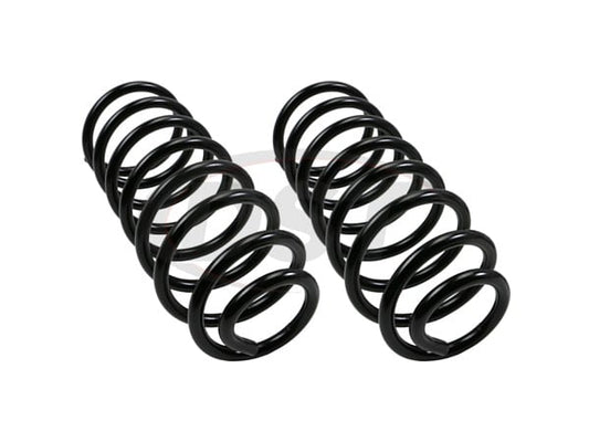 Moog 99-04 Volkswagen Golf 2.0L / 00-05 Volkswagen Jetta 2.0L Front Coil Spring Set - 81134