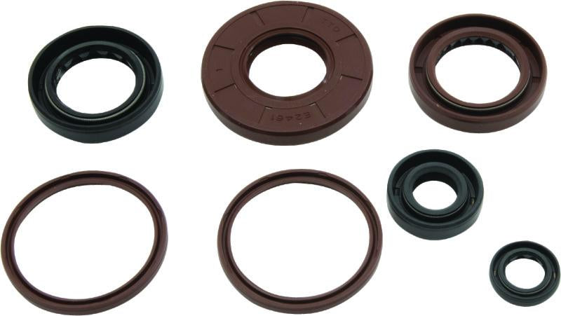 QuadBoss Qb Oil Seal Set - 564643