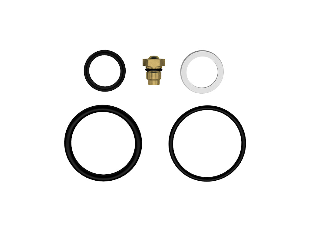 ICON 2.5 Ifp Rebuild Kit Viton - 252010-V