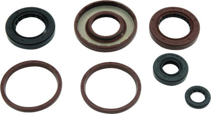 QuadBoss Qb Oil Seal Set - 564643