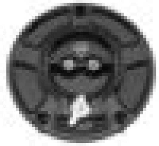 Vortex Racing V3 Fuel Cap for Honda Black - GC210K