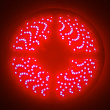 Load image into Gallery viewer, Oracle Side Emitting LED Spool - Red