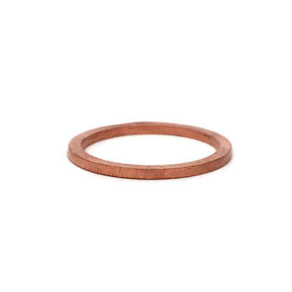 BLOX Racing Fuel Inlet Fitting Crush Washers - 2 Pack BLOX Racing