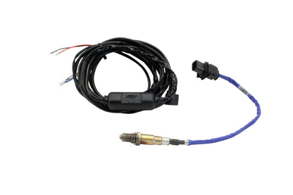 AEM Dual Channel Wideband