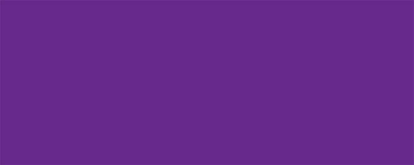 Aluminum Xtreme Purple 4x10 ALLSTAR PERFORMANCE