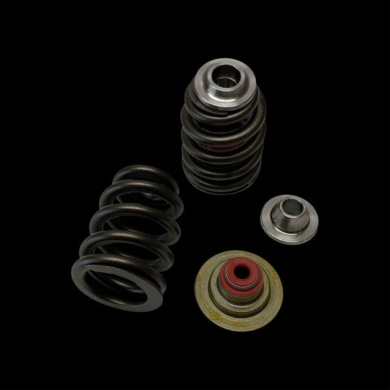 Brian Crower Can-Am X3/ROTAX 900 Ace Beehive Spring/Titanium Retainer Seat/Seal Kit - BC0930T