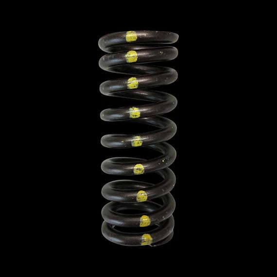 Brian Crower Honda D16Y8/D16Z6 Single Valve Spring - Single - BC1070-1