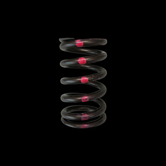 Brian Crower Nissan SR20DE Single Valve Springs (Single Spring - Price is each) - BC1200-1