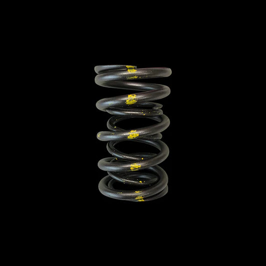 Brian Crower Toyota 2JZGTE Dual Valve Springs - Single