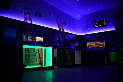 Oracle Exterior Black Flex LED 12in Strip 3804-007	 - UV/Purple ORACLE Lighting