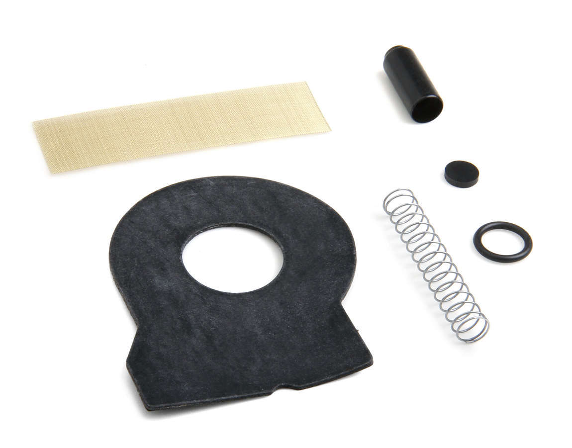 Check Valve Kit HOLLEY