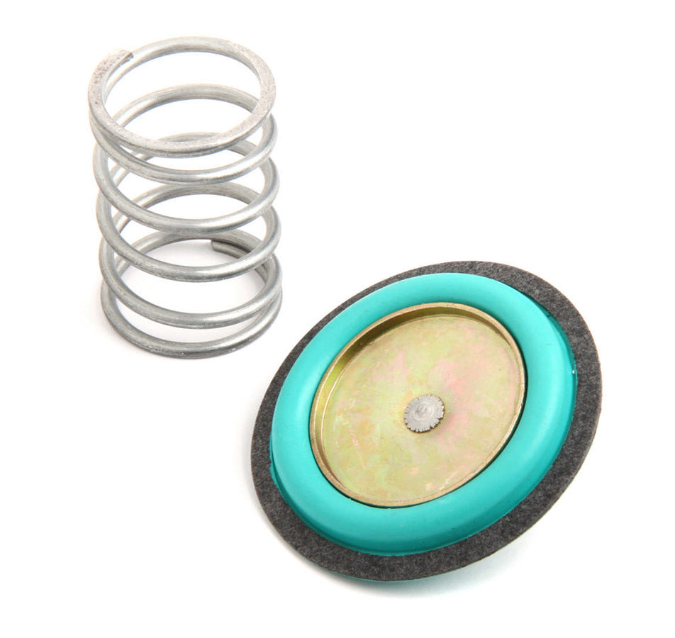 Rebuild Kit for 12-843 Regulator HOLLEY