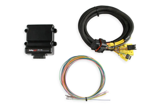Holley CAN Module  8-Channel EGT Controller - 554-190