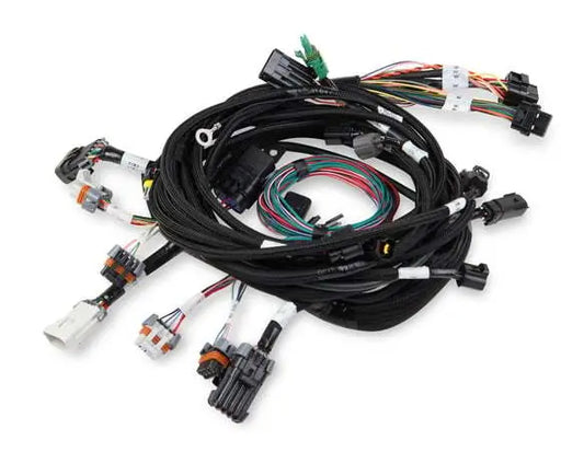 Holley Main Harness 99-04 Ford Modular Engine - 558-108
