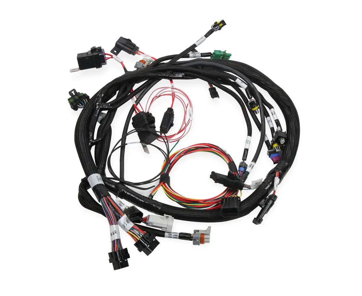 Holley Universal MPFI Coil On Plug Main Harness - 558-117