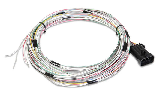 Holley J1A/B Input/Output Connector - 558-400