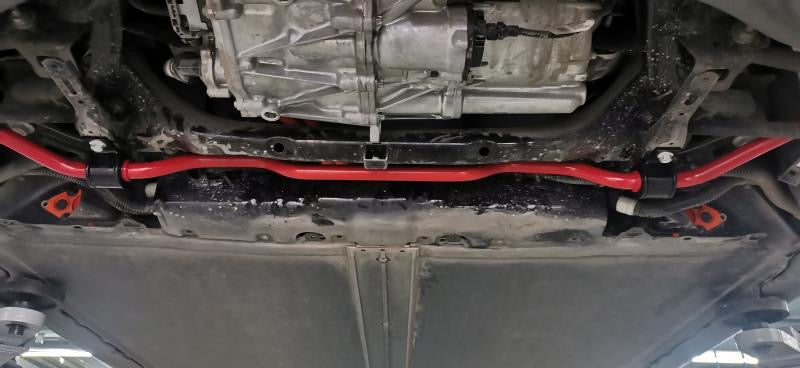Precision Works Adjustable Sway Bars - Tesla Model 3 PrivateLabelMfg
