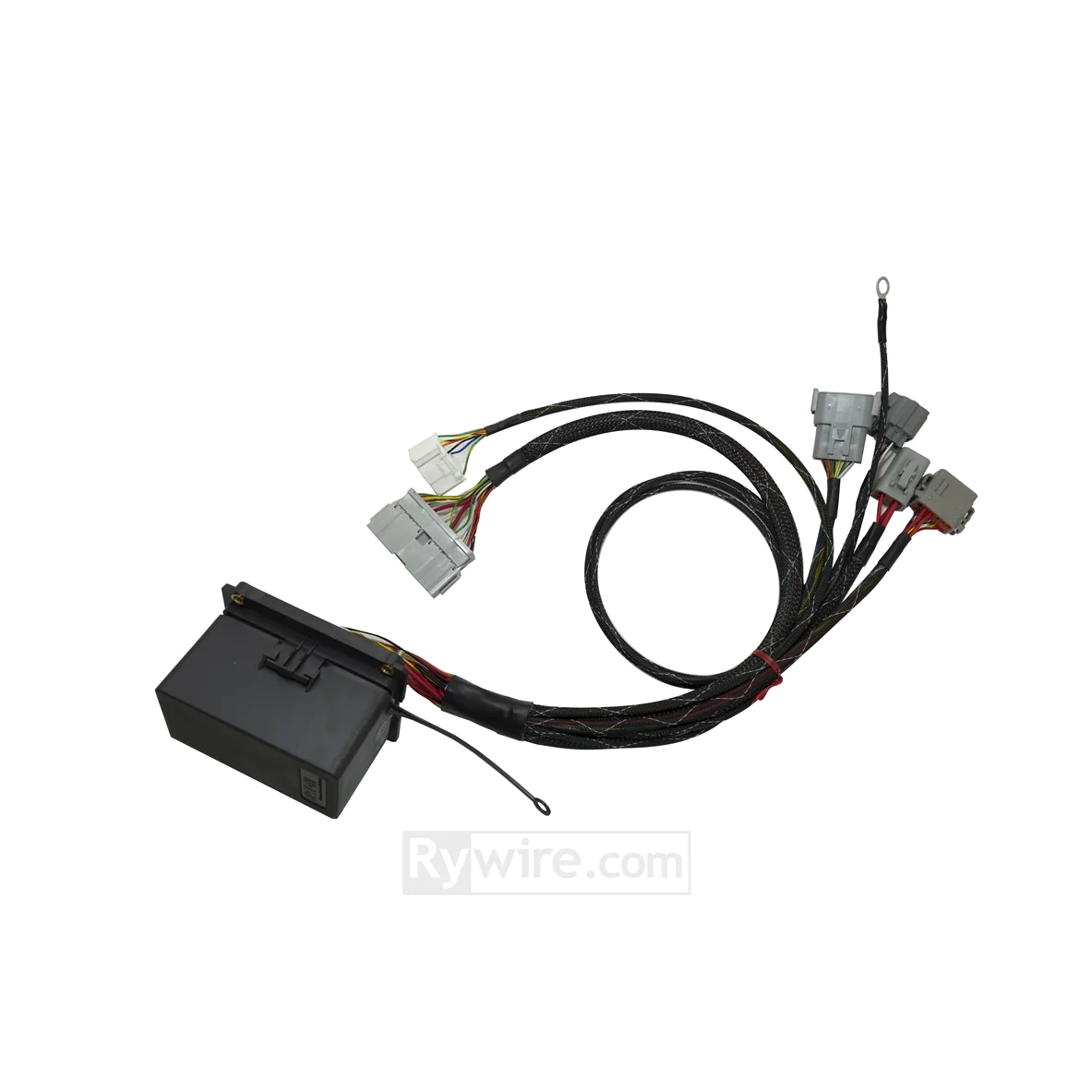 Rywire 02-04 Honda K-Series Mil-Spec Engine Harness w/OBD2 02-04 RSX K20 Sensors (Adapter Req) Rywire