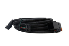 Load image into Gallery viewer, FASS Fuel Systems WH-1006 Wire Harness 14 Gauge Universal With Relay Cover