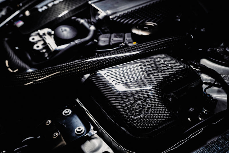 AMS Performance AMS.39.08.0001-1 15-18 BMW M3 / 15-20 BMW M4 w/ S55 3.0L Turbo Engine Carbon Fiber Intake