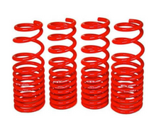 Load image into Gallery viewer, BLOX Racing Lowering Springs Tesla Model 3 Long Range RWD