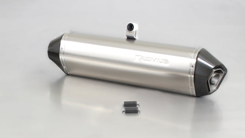 Remus 08-12 BMW F 650 GS E8GS 52 kW Hexacone Titanium Slip On Remus