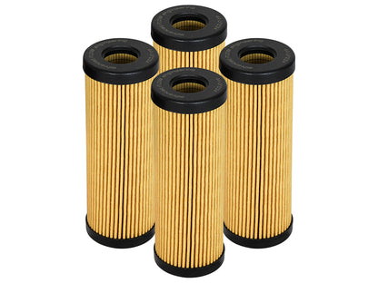afe PROGUARD Oil Filter (4 Pack) 44-LF034-MB