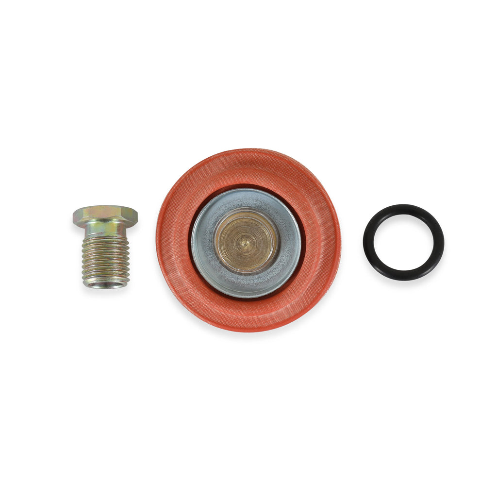 AEM Adjustable Fuel Pressure Regulator Rebuild Kit Components