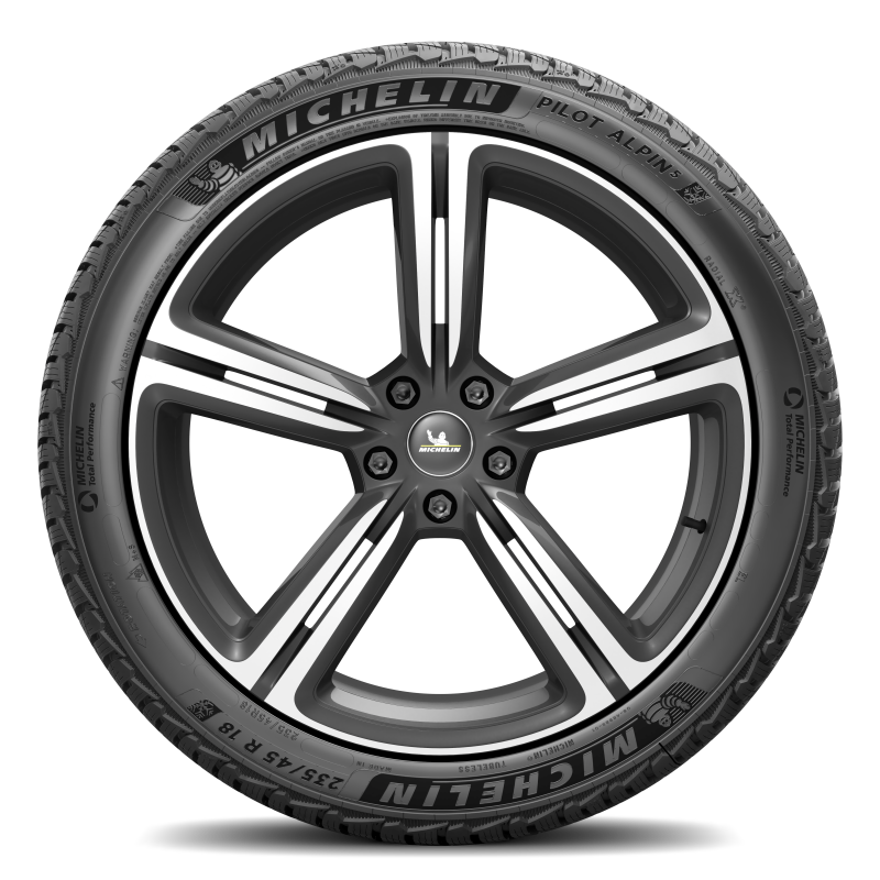 Michelin Pilot Alpin 5 SUV 255/45R20 105V XL