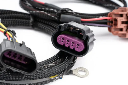 AMS Performance universal flex fuel CAN bus box for ethanol sensor integration ALP.00.07.0002-1
