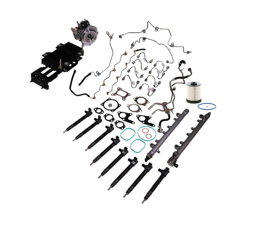 Industrial Injection L5P Fuel Contamination Kit
