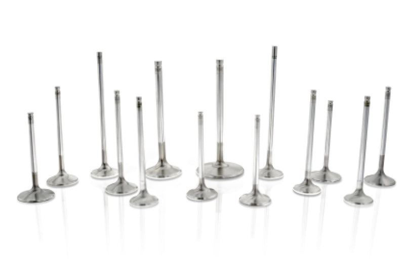 Ferrea Chyrsler Big Block 1.6 Head 5/16 Stem Dia 6000 Series Competition Exhaust Valve - Set of 8