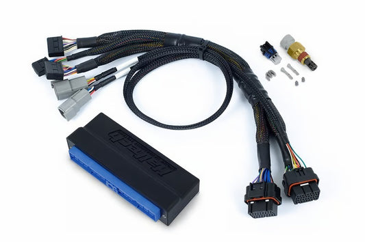 Haltech Nissan Skyline R32 Nexus S3 Plug-n-Play Adapter Harness