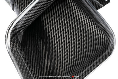 AMS Performance AMS.39.08.0001-1 15-18 BMW M3 / 15-20 BMW M4 w/ S55 3.0L Turbo Engine Carbon Fiber Intake