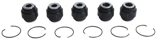 All Balls Racing Rear Ind. Suspension Kit