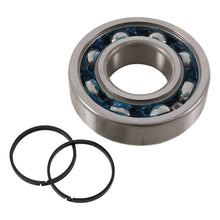 Load image into Gallery viewer, Hot Rods Bearing/Seal Kit